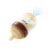 Thyseed PPSU Natural Anti-Colic Baby Bottles | Newborn Breast Like Nursing Bottle for Breastfed Babies with Nipple(0-1 Months),5oz,1pack